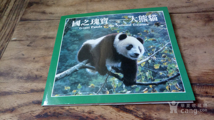 珍稀动物大熊猫