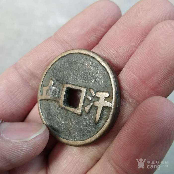 汗血马钱
