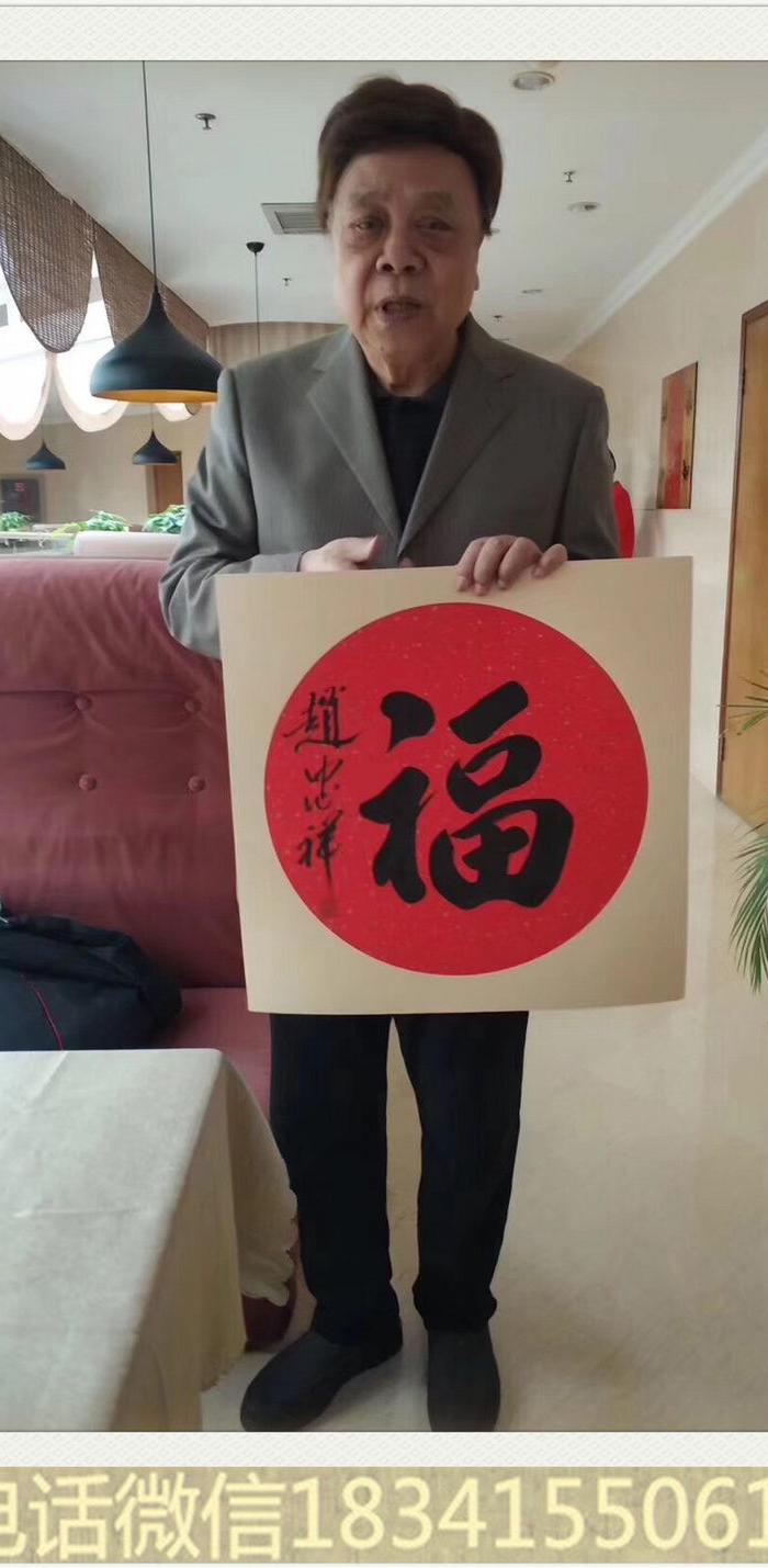 赵忠祥老师作品支持合影视频 接受定制