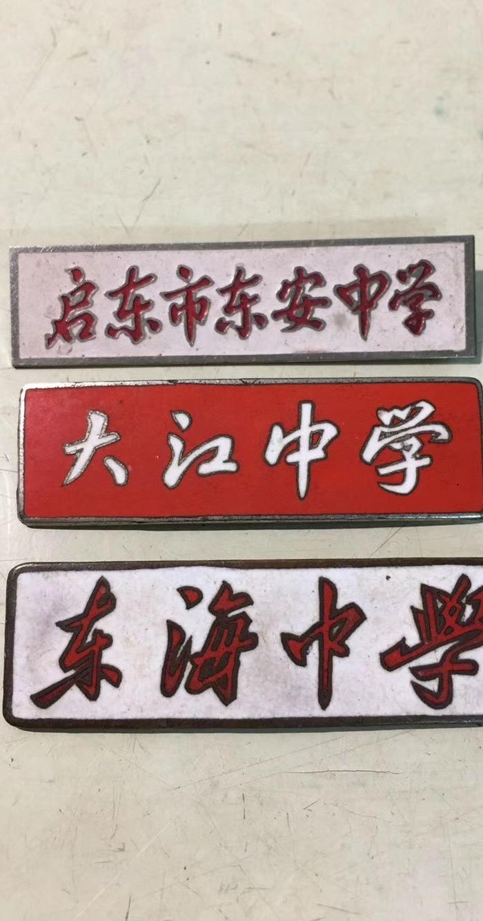 启东东海 大江 东安中学校徽3枚
