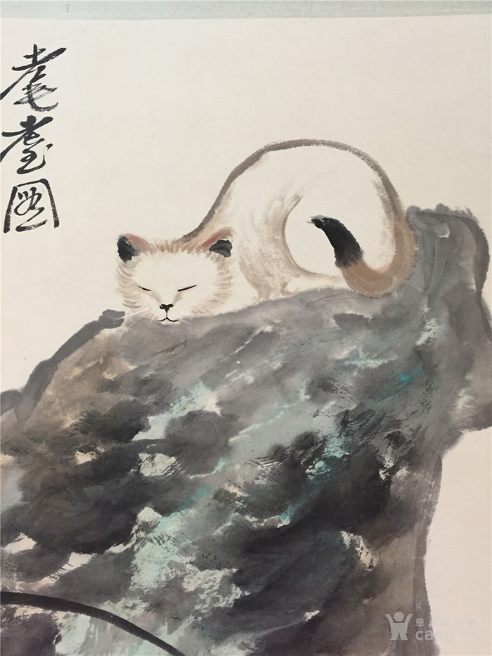 张大千猫