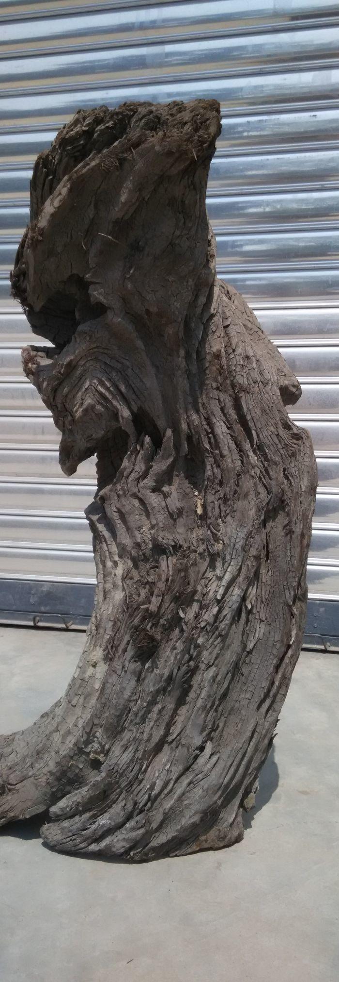 四川江底挖出的天然麻柳乌木上岸阴干两年多