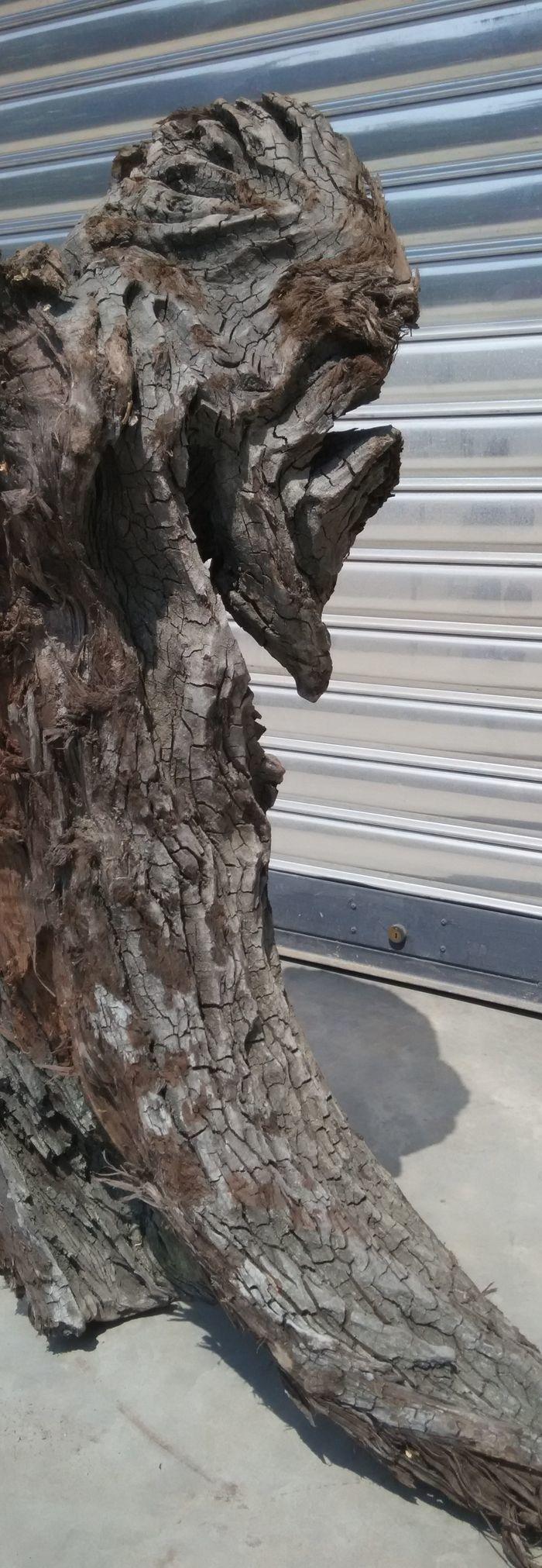 四川江底挖出的天然麻柳乌木上岸阴干两年多