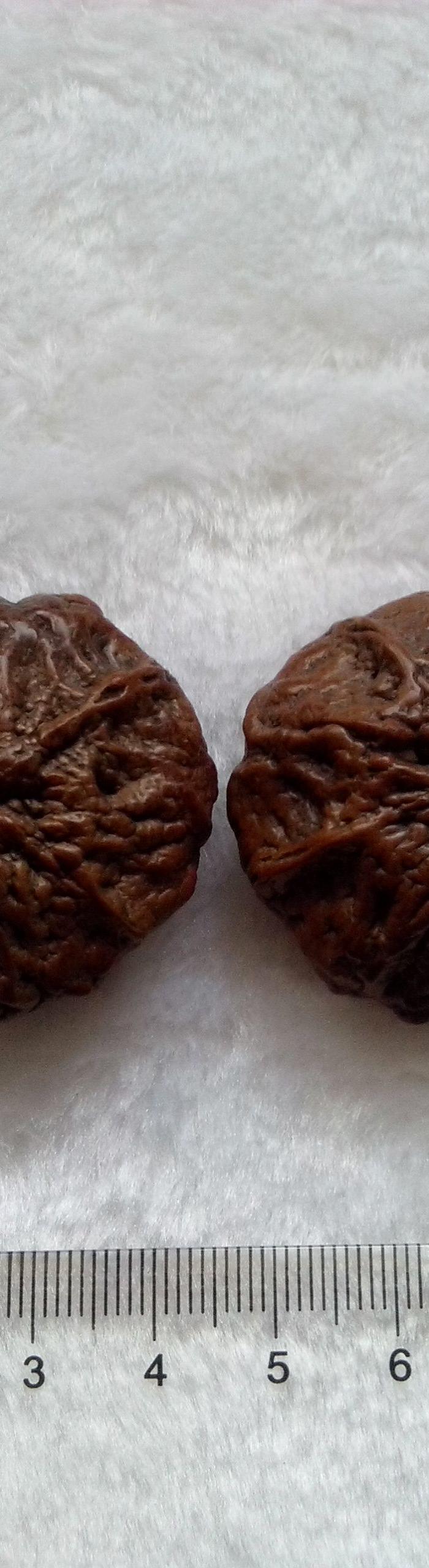 鬼脸核桃(鬼脸清晰)