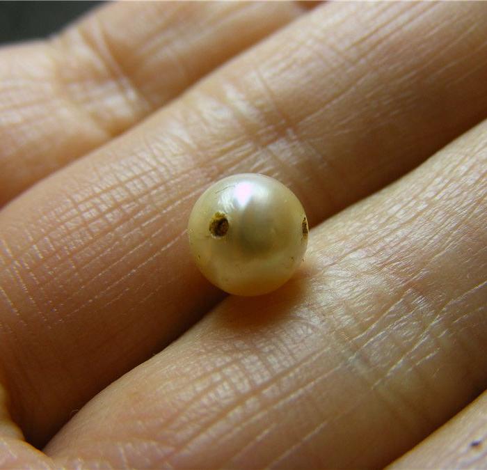 带三眼的 正宗清代大圆东珠珍珠一颗(老包浆)