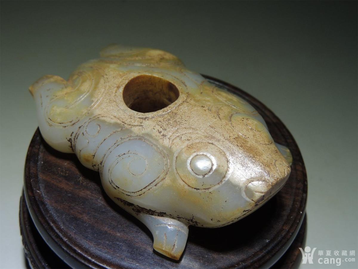 古玉老玉/和田青白玉圆雕/精美大气的西周玉蛙