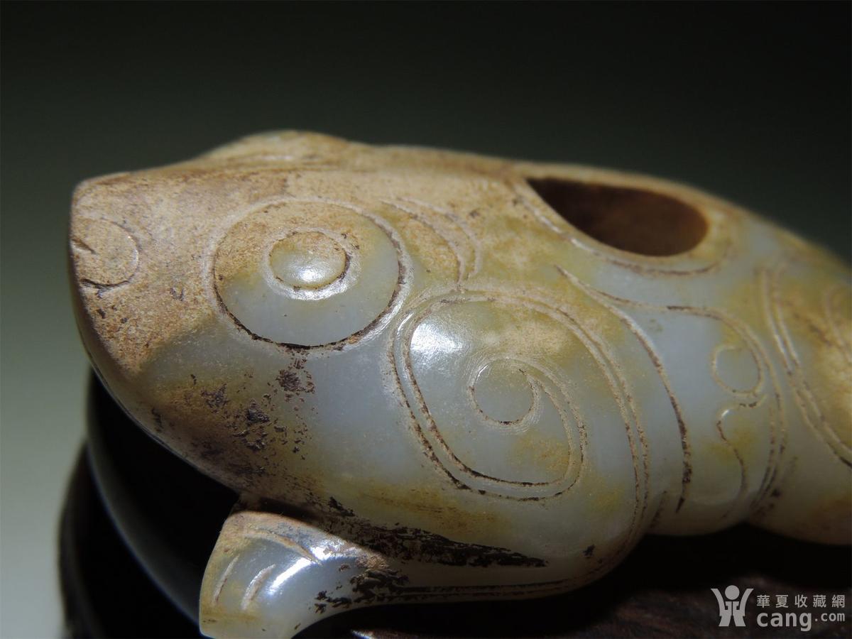 古玉老玉/和田青白玉圆雕/精美大气的西周玉蛙