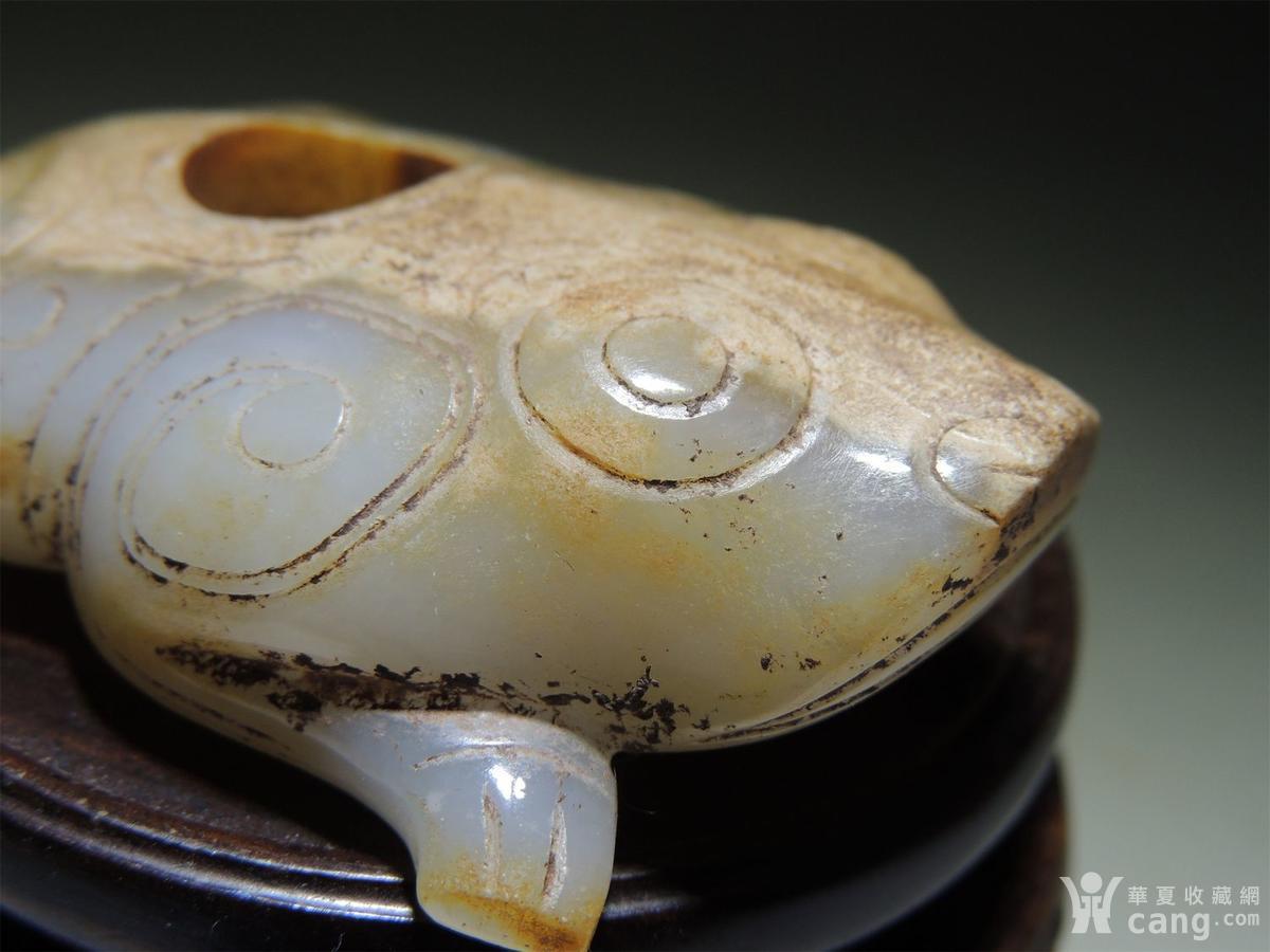 古玉老玉/和田青白玉圆雕/精美大气的西周玉蛙