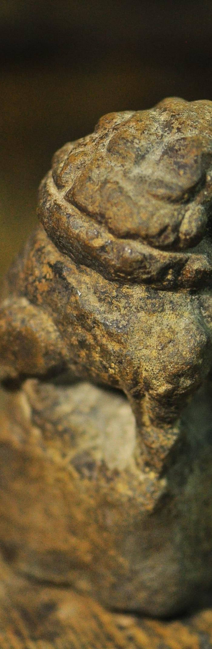 珠宝国石 赏石 金元——石狮子年代:金辽西夏元