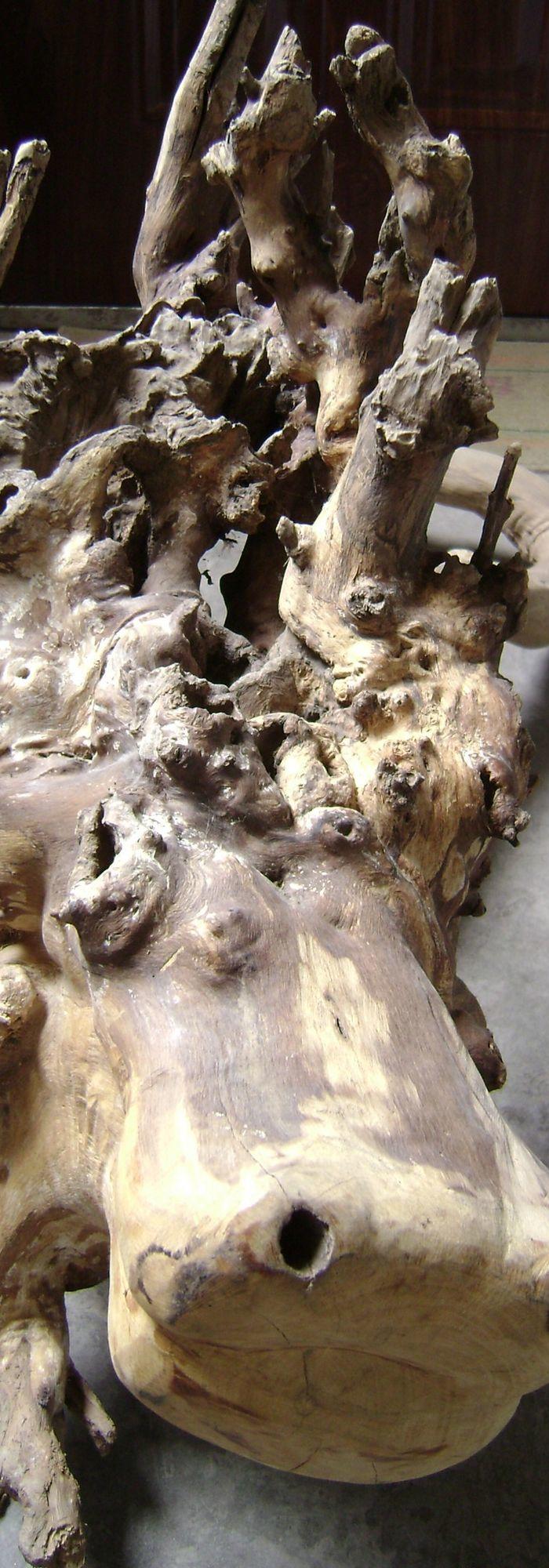 出一个红豆杉树根龙形件