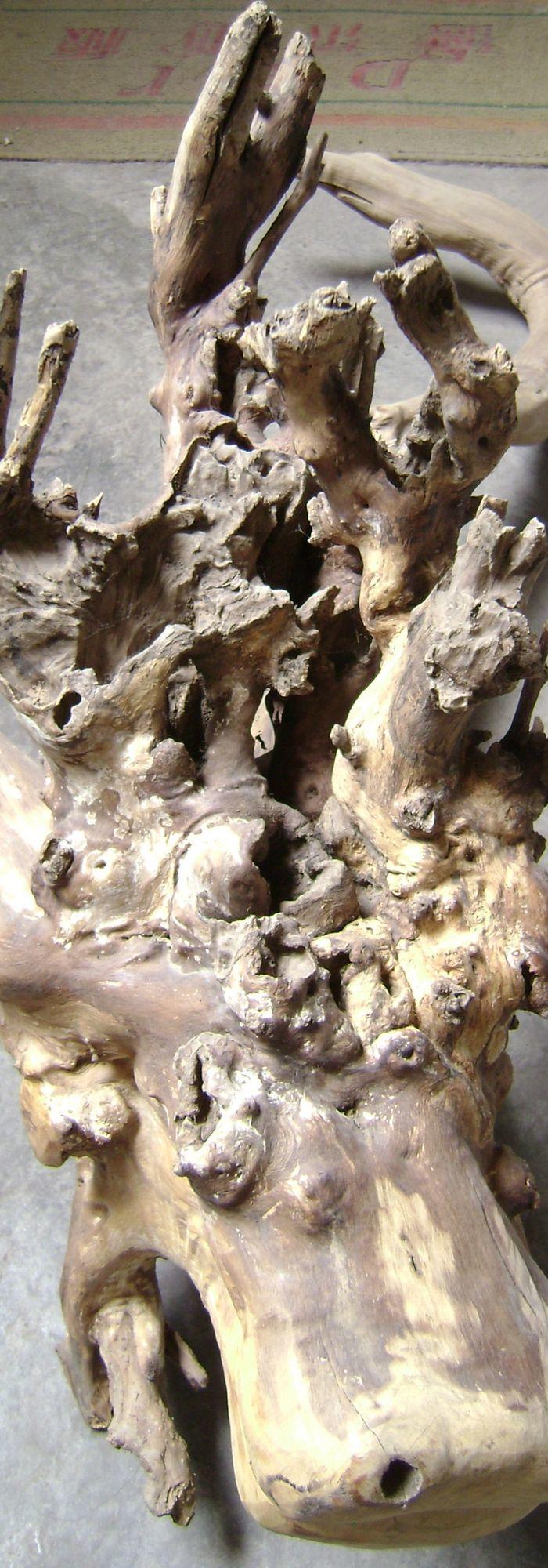 出一个红豆杉树根龙形件