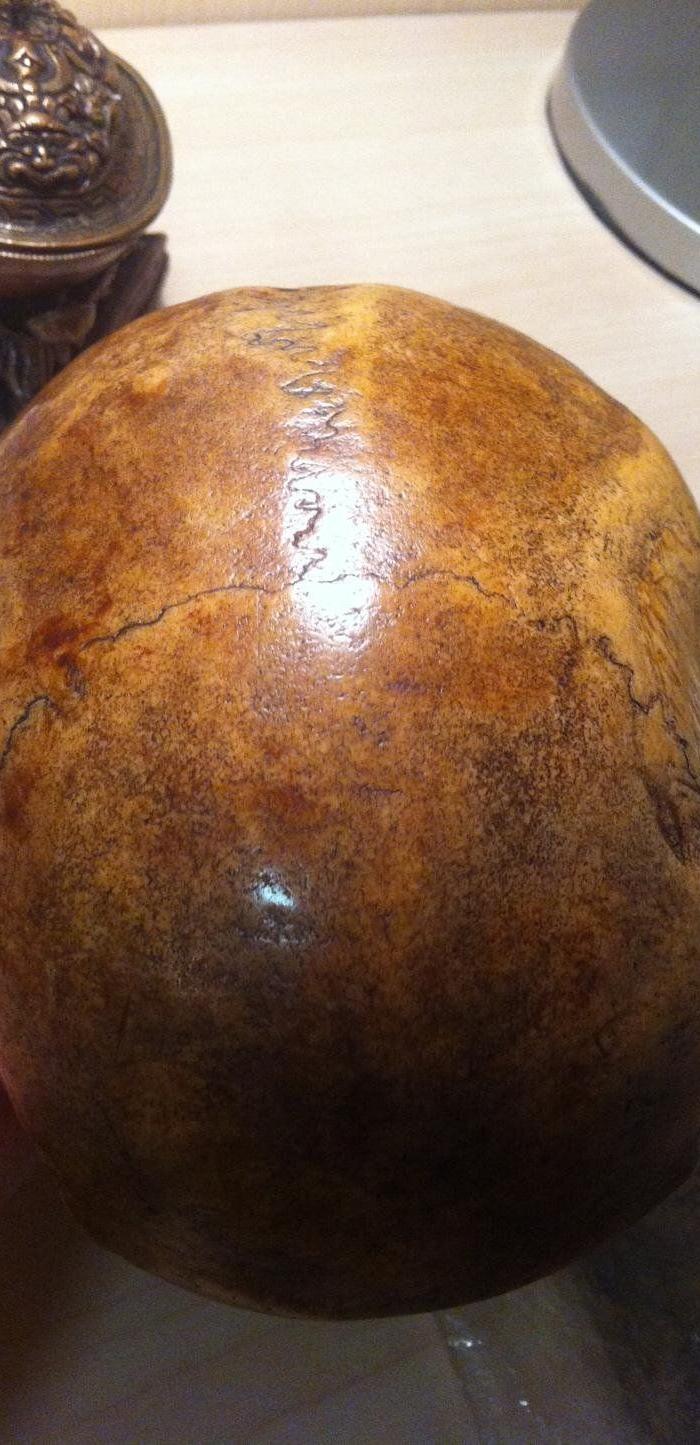 【古玩鑫】高僧大德嘎巴拉圣碗,包老