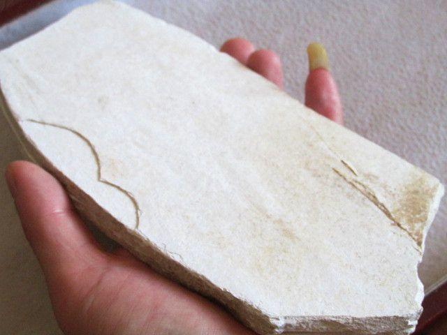 一对 完成 对揭开 龙 化石板22*100*12mm谢绝议价