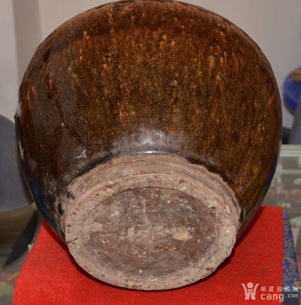 耀州老紫金釉窑变四系大罐一只!