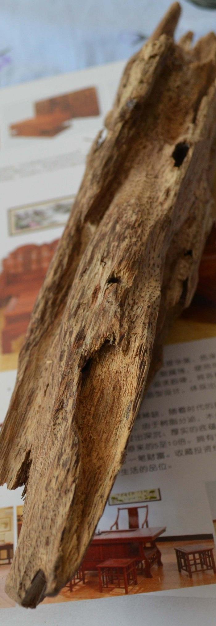 纯天然野生沉香仅25元每克