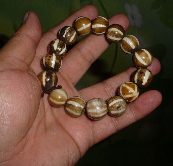 1.5木化石手串