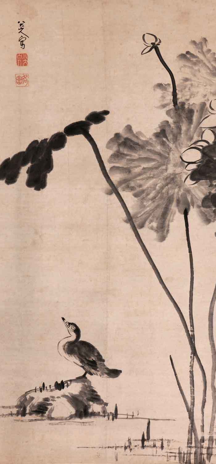 清代八大山人花鸟画