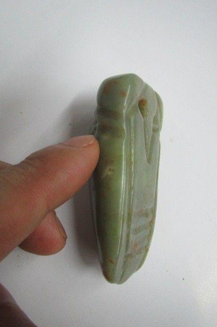 朝鲜过来的 玉蝉