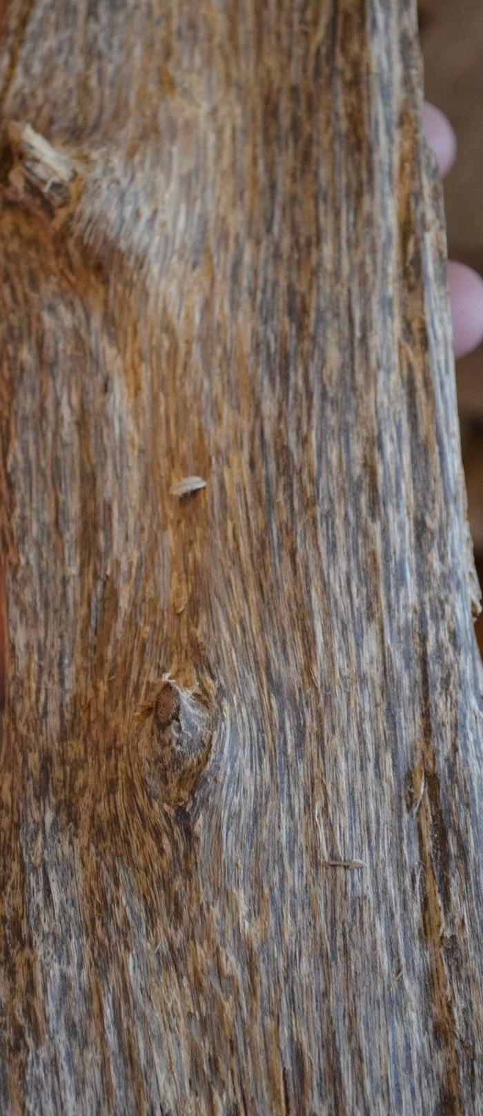 越南野生沉香虫漏_地摊交易_华夏收藏网