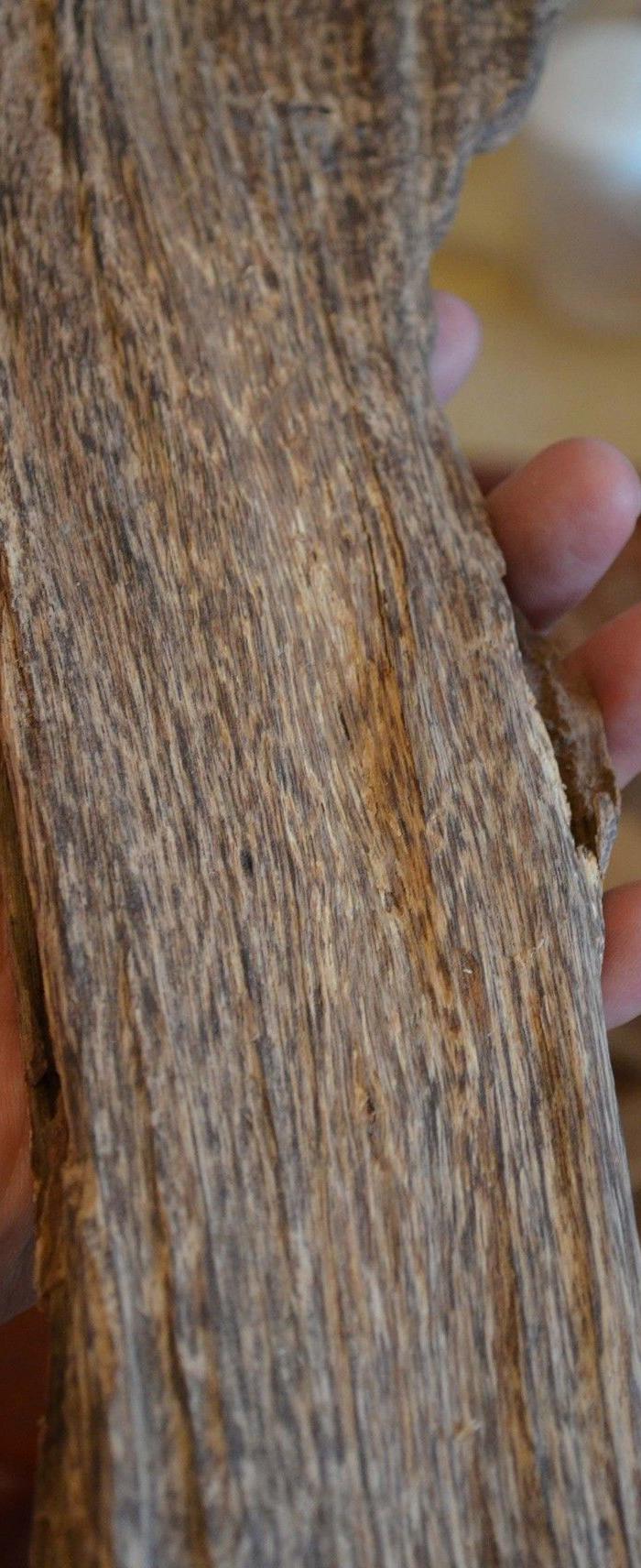 越南野生沉香虫漏