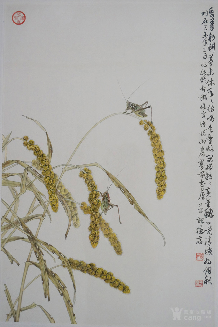 河北画家孙乾(工笔谷穗)