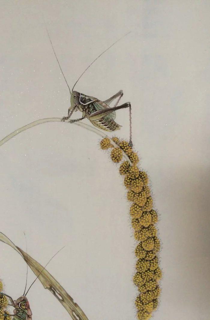 河北画家孙乾(工笔谷穗)