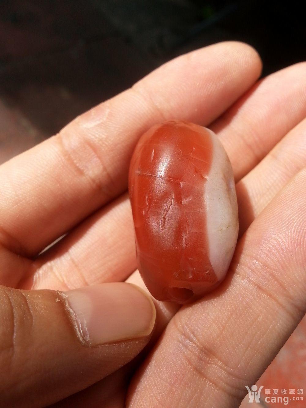 清代老甘南南红勒子