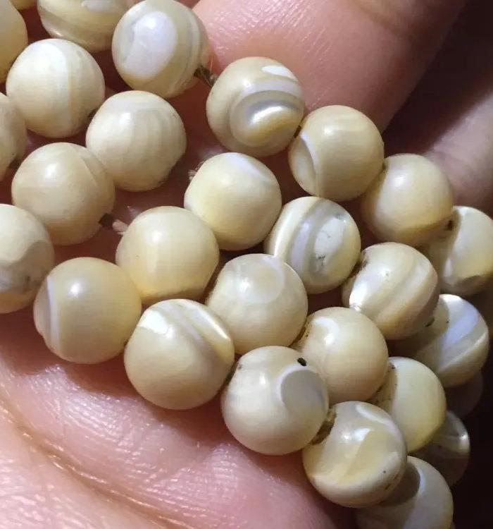 清代老鱼骨佛珠