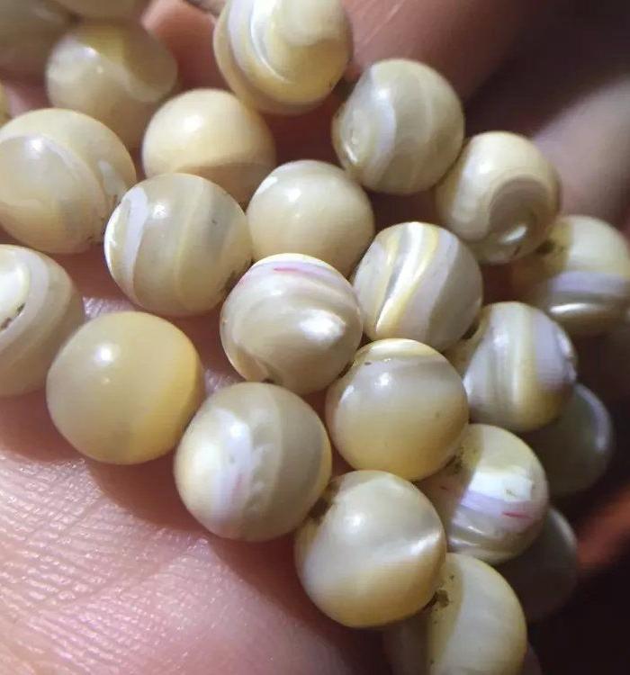 清代老鱼骨佛珠