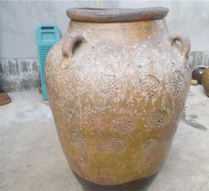 四系大朵子金钱缸 特大超高