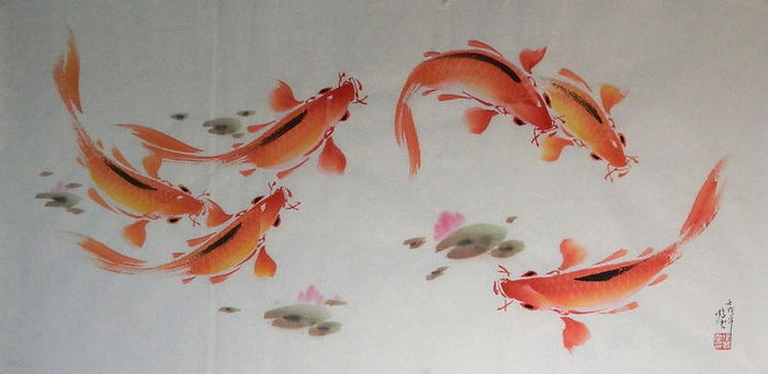 张鹤云 精品《鱼》 喜欢的不要错过