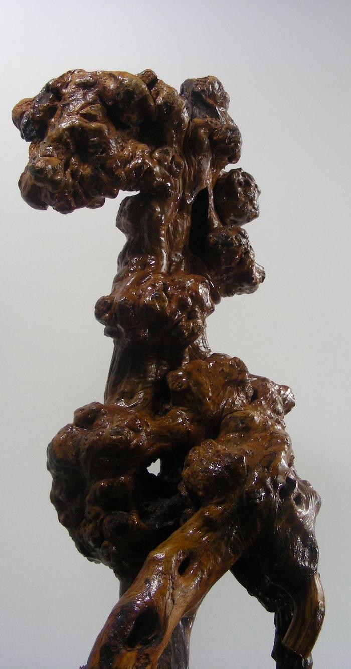 深山石缝树根造型艺术-悲鸿笔下一匹马