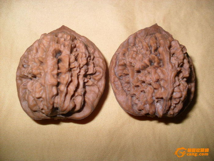 文玩核桃价格