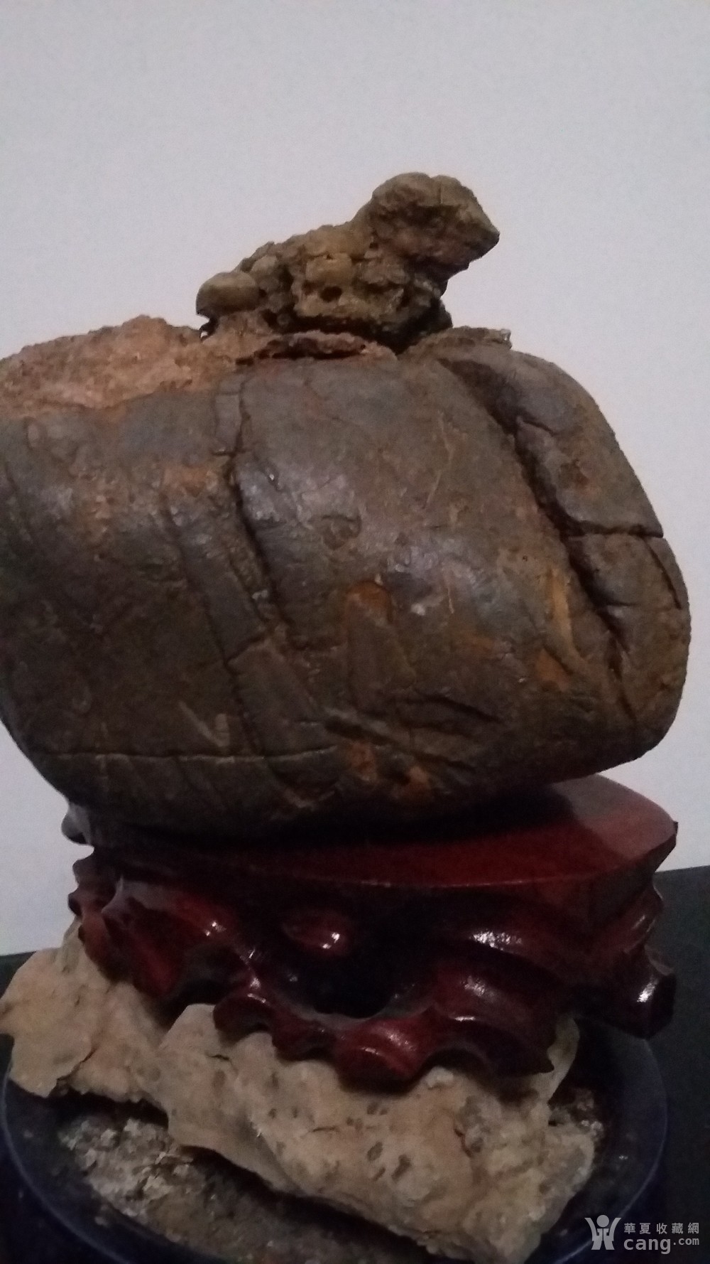 纯天然奇石《金蟾折桂》_地摊交易_华夏收藏网