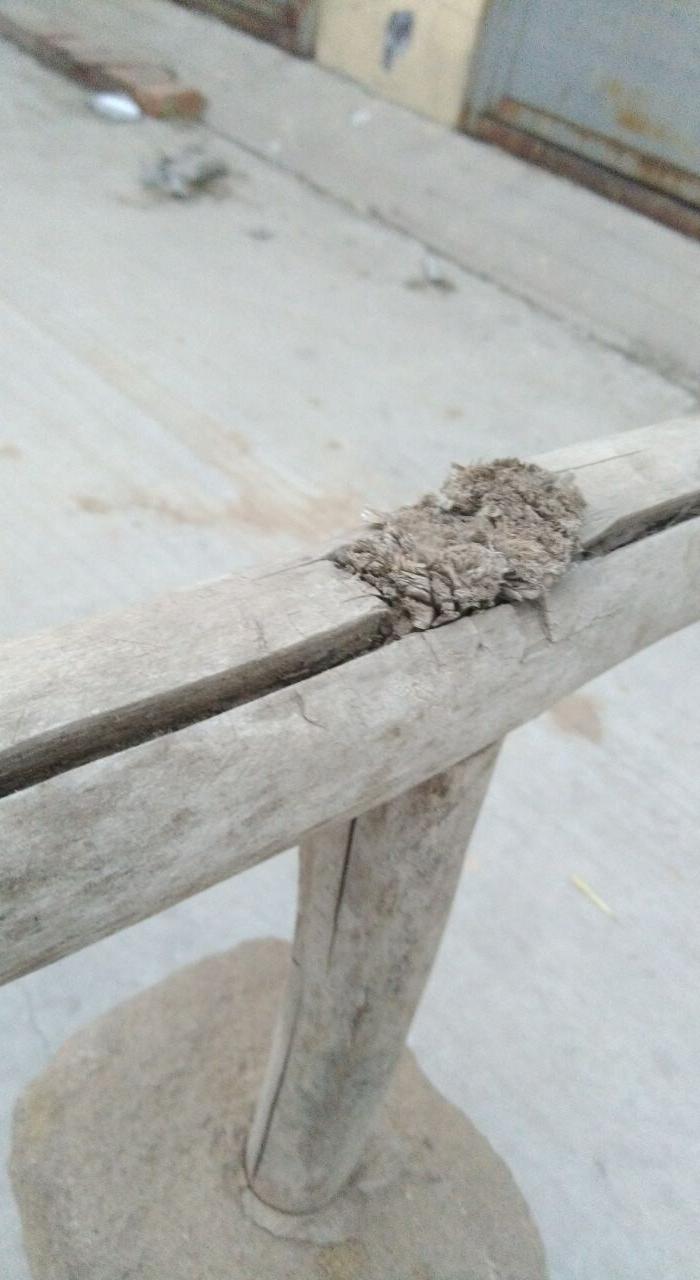 一把石头老杵子