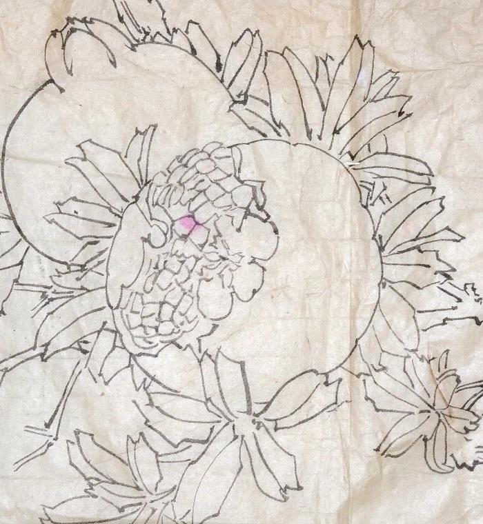 于非暗《手绘白描花鸟画●写生画稿》旧软片◆近现代名人字画