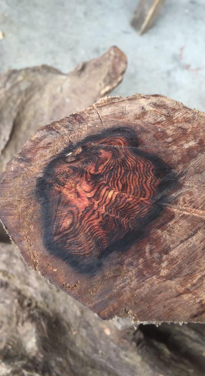 贵州黄花梨手串