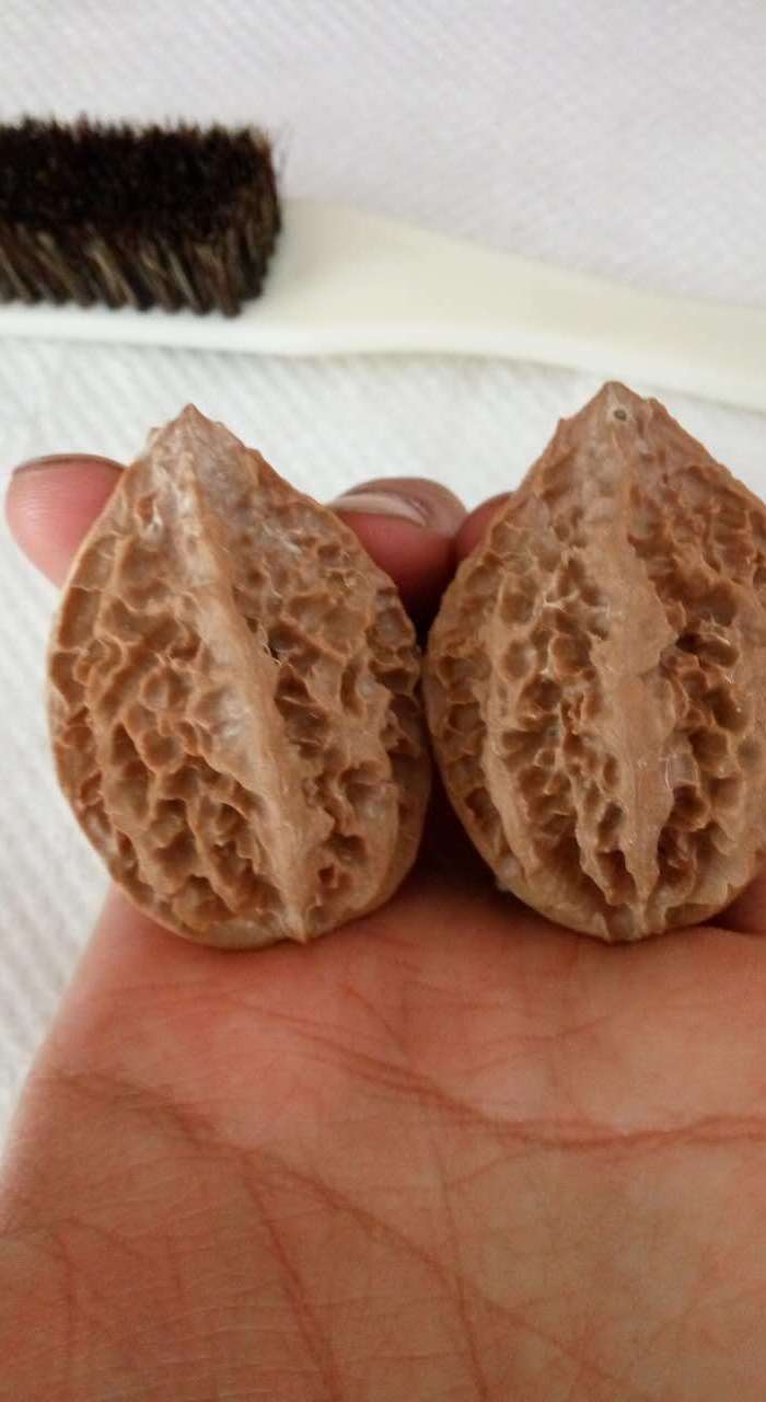 秋中名品 龙骨秋子楸子文玩核桃 粗筋龙骨