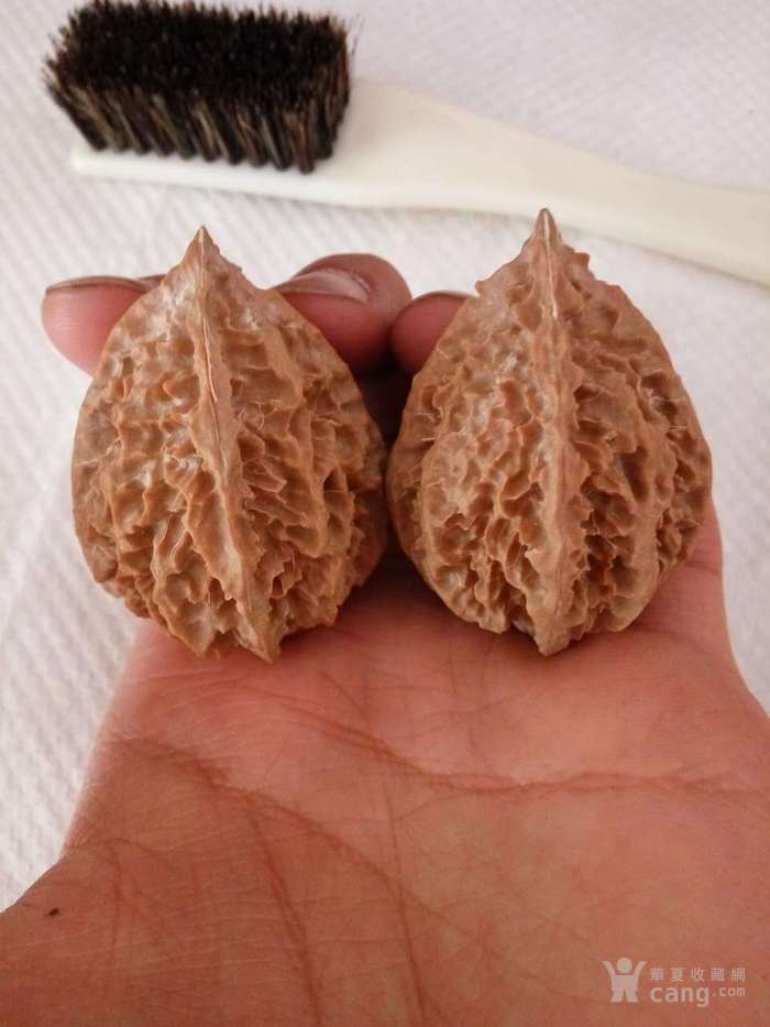 秋中名品 龙骨秋子楸子文玩核桃 粗筋龙骨