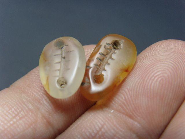 西周玛瑙贝币!(大开门)