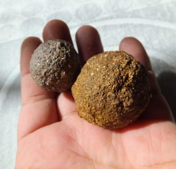 新疆哈密两枚火山蛋_地摊交易_华夏收藏网