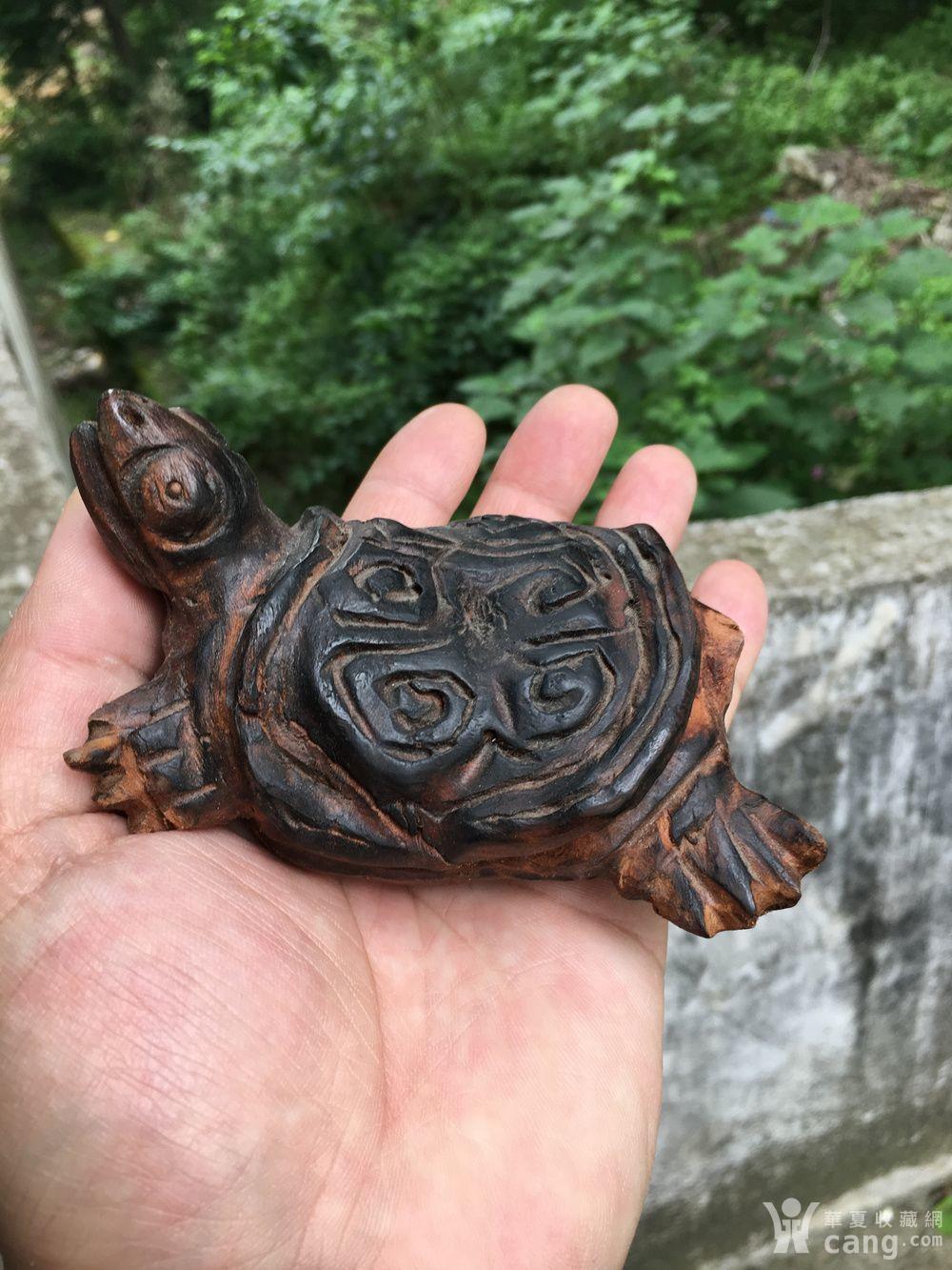 民间雕刻大师所作--整木雕刻成的乌龟