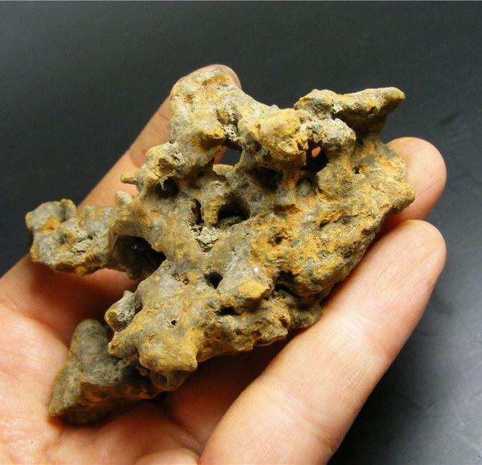 老姜石(蛎石)小摆件10号(文房摆设 养鱼养花都好)