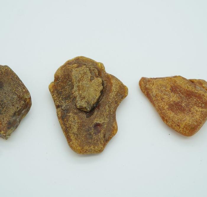 总重4o克波罗的海琥珀原石6块,一手回流,包老包真