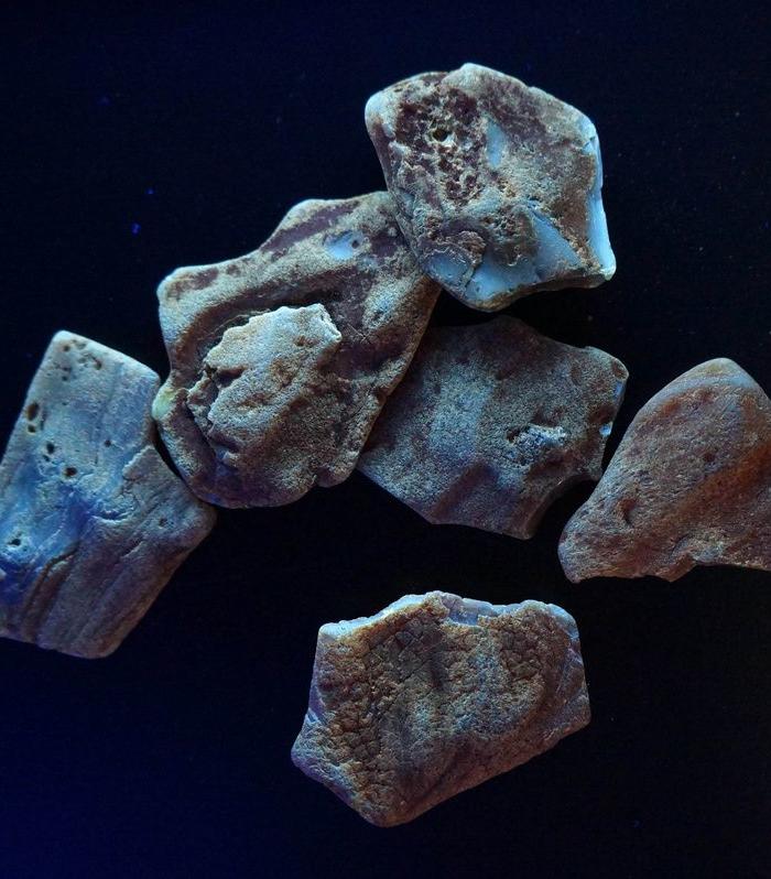 总重4o克波罗的海琥珀原石6块,一手回流,包老包真