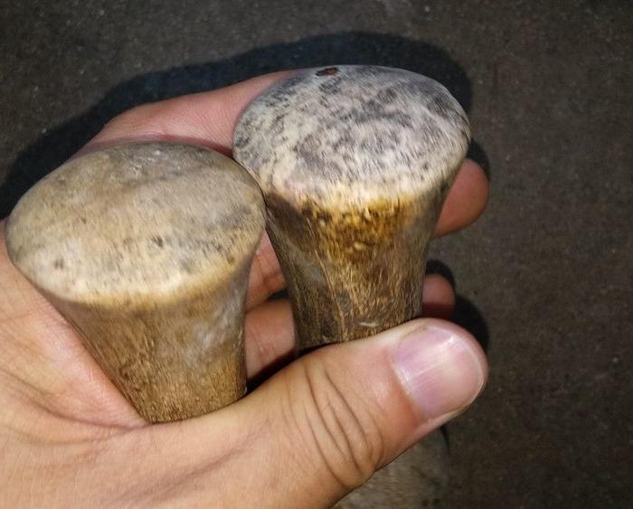 清代药钵瓷锤一对