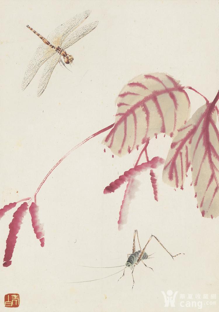 齐白石草虫册页 红蓼晴蜓图