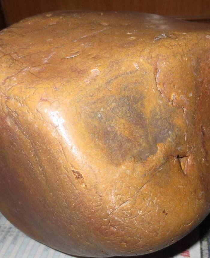 赣江树化玉籽料