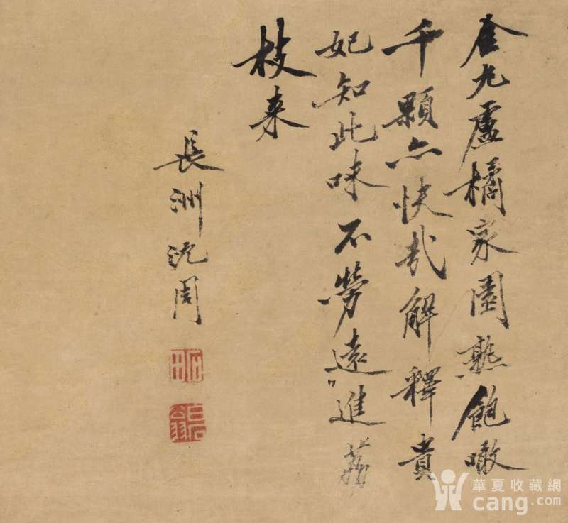 明 沈周-枇杷图 纸本