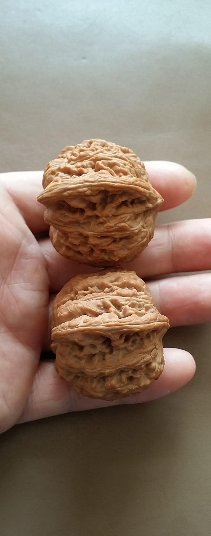 文玩核桃----野生老形矮桩狮子头